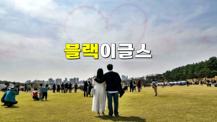 2025 블랙이글스 일정 · 상반기 블랙이글스 에어쇼 공연 스케줄 2025 블랙이글스 일정 · 상반기 블랙이글스 에어쇼 공연 스케줄