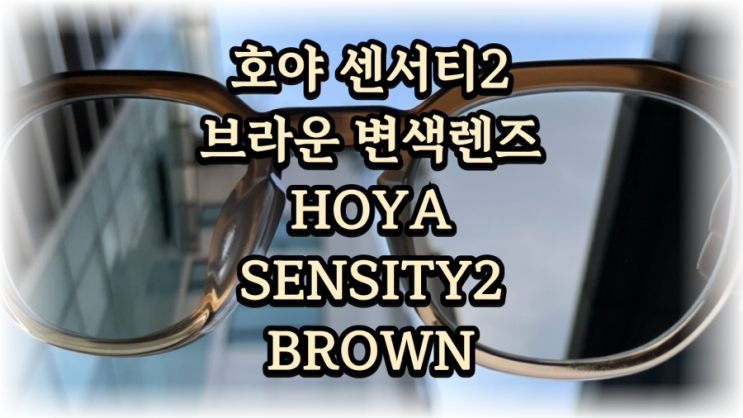 눈관리 위한 변색안경 호야 센서티2 브라운 후기