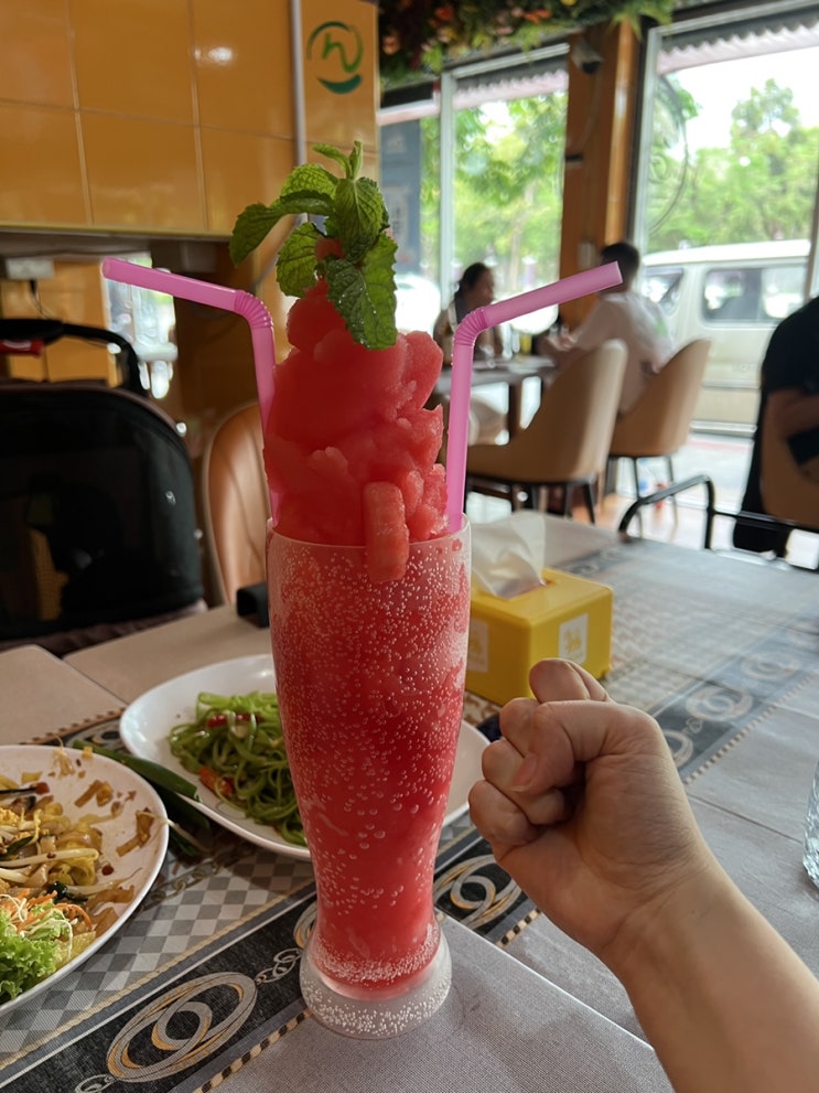  태국 방콕 애견동반 노스이스트 맛집 후기 (개모차 필수) 룸피니공원 맛집