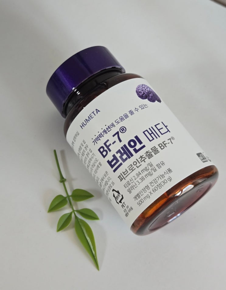  피브로인추출물 뇌건강 영양제 : 파미니티 BF-7 브레인메타