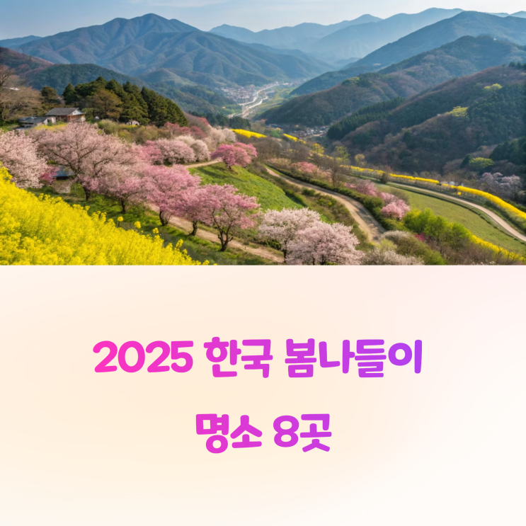 국내 3월~5월 봄나들이 코스, 이곳 놓치면 후회!
