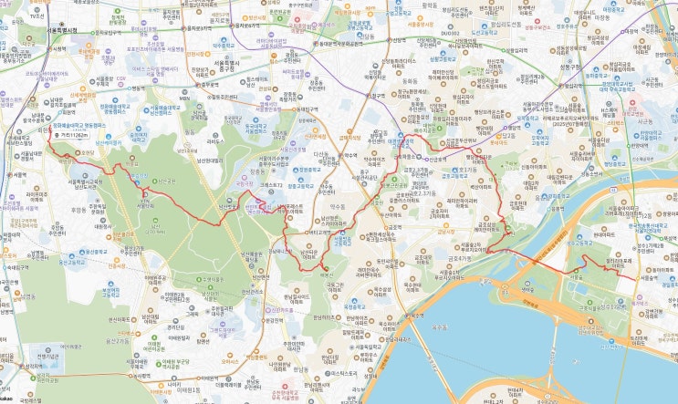  개나리보러 서울숲~남산 걷기