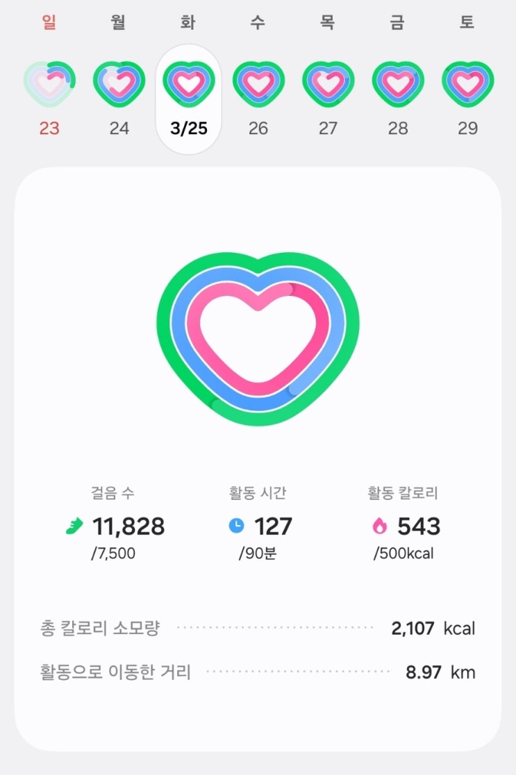  JY 트레이닝 736일차