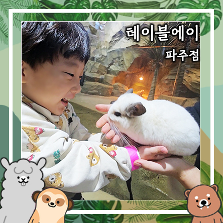  파주 테이블에이 실내 아이랑 동물체험 가능한 실내 동물원