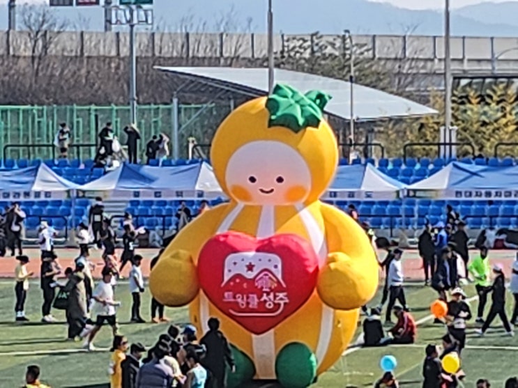  [달리는일상] 2025 성주참외 전국마라톤대회 | 참가후기