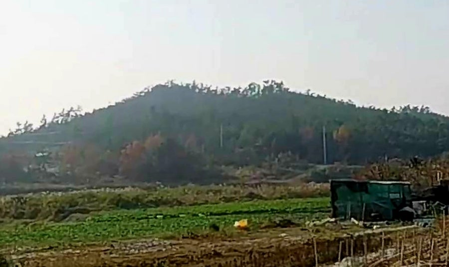 조봉산 사진 5