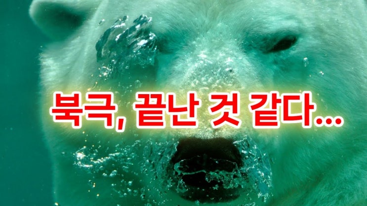 10년 안에 북극 얼음 ‘0’… 인류는 준비 안 돼 있다 10년 안에 북극 얼음 ‘0’… 인류는 준비 안 돼 있다