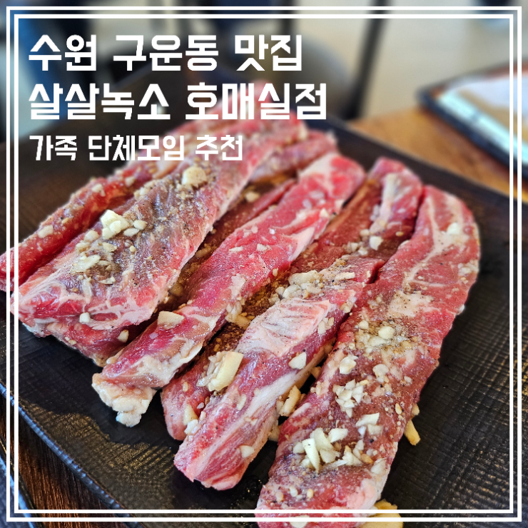  수원 구운동 맛집 살살녹소 호매실점 단체모임 장소 추천