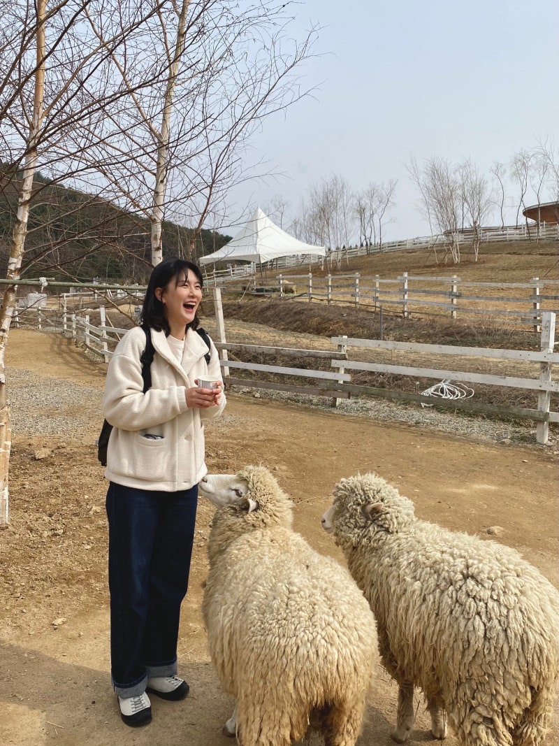 [2025.03] 가평 유명산자연휴양림 숲속의 '너구리'집 다녀온 후기