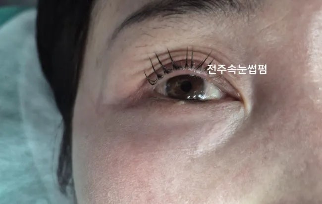  전주속눈썹펌 관리 및 예방법