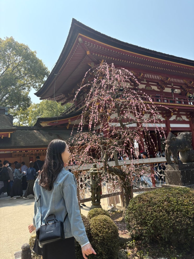  후쿠오카 다자이후 가는법 텐만구 신사 실시간 쇼핑 전철