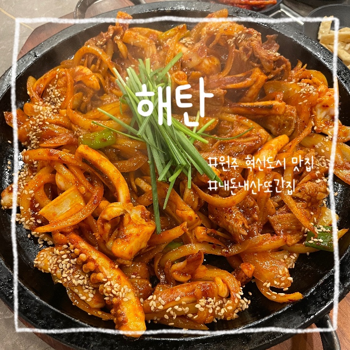  원주 혁신도시 :: 내 돈 내산 또간집 원양 오징어를 사용하는 오징어볶음 전문 맛집 해탄