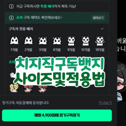  치지직 구독뱃지 (배지) 사이즈 및 적용 방법