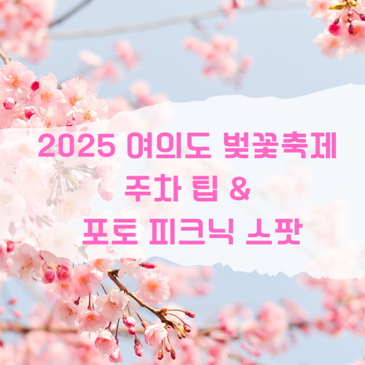 2025 서울 <b>여의도 벚꽃축제</b> 탄핵심판선고 날짜<b>연기</b> 주차 팁... 