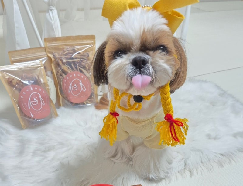 사진 2