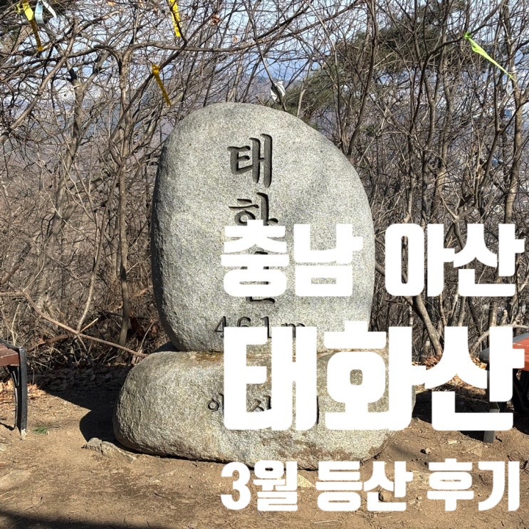  태화산/태학산 3월 등산 후기(충남 아산), 태화산/태학산 등산코스 추천
