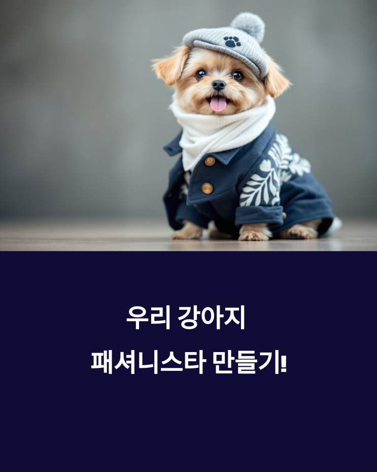  우리 강아지 패셔니스타 만들기! 체형별 옷 고르는 법 & 옷 입히기 싫어하는 댕댕이 적응 훈련