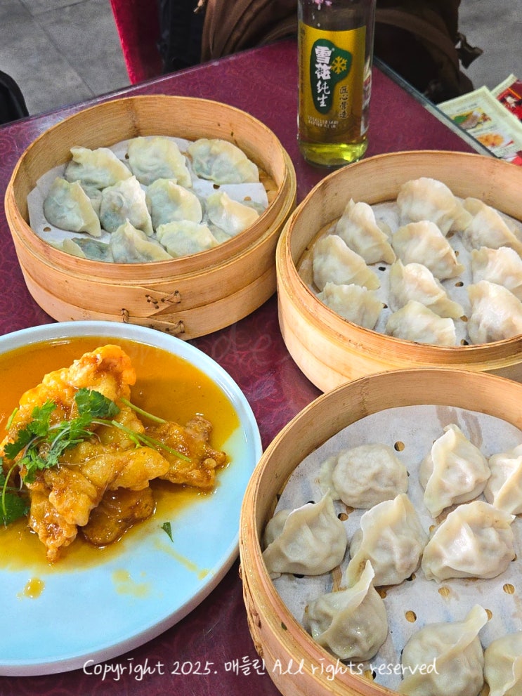  중국 선양 맛집 老边饺子馆 꿔바로우 교자 만두 & 宝发园名菜馆 현지인 식당 메뉴 추천 후기