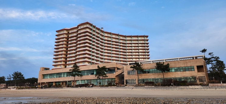  충남 보령시 무창포 비체팰리스 스위트 36타입(오션뷰) 솔직 후기와 객실 선택 꿀팁