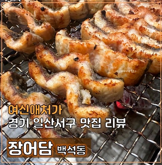  일산 백석동 국내산 장어집 장어만, 회식장소와 몸보신 추천