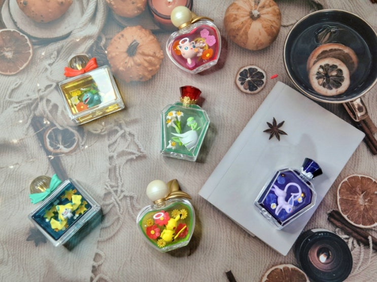  포켓몬 리멘트 petite fleur 3탄