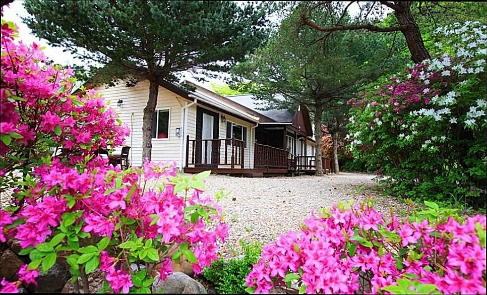 솔향기펜션 사진 4
