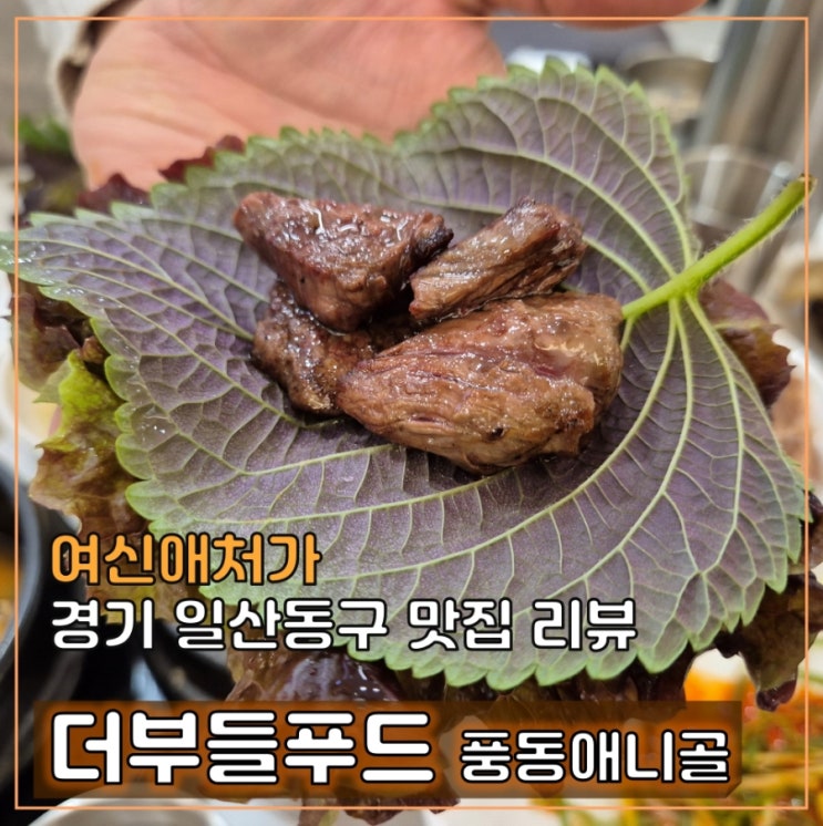  더부들 일산고깃집 애니골 맛집 단체회식 추천