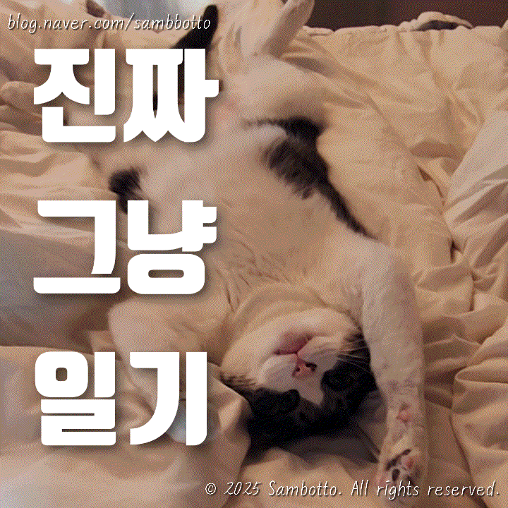  진짜 그냥 일기 | 완두콩 삶기, 4월 되기 이틀 전 눈오던 날, 도시락 싸기