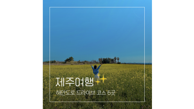  이호테우 해변부터 유채꽃과 함께 하는 제주도 해안도로 드라이브 코스 6