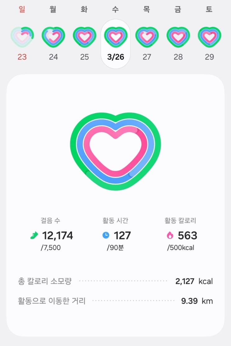  JY 트레이닝 737일차