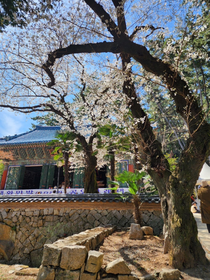 사진 3