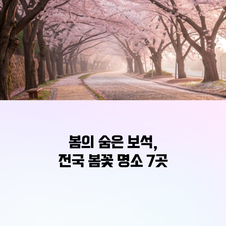  국내여행 떠나기 전 꼭 알아야 할 숨은 봄꽃 명소 TOP 6