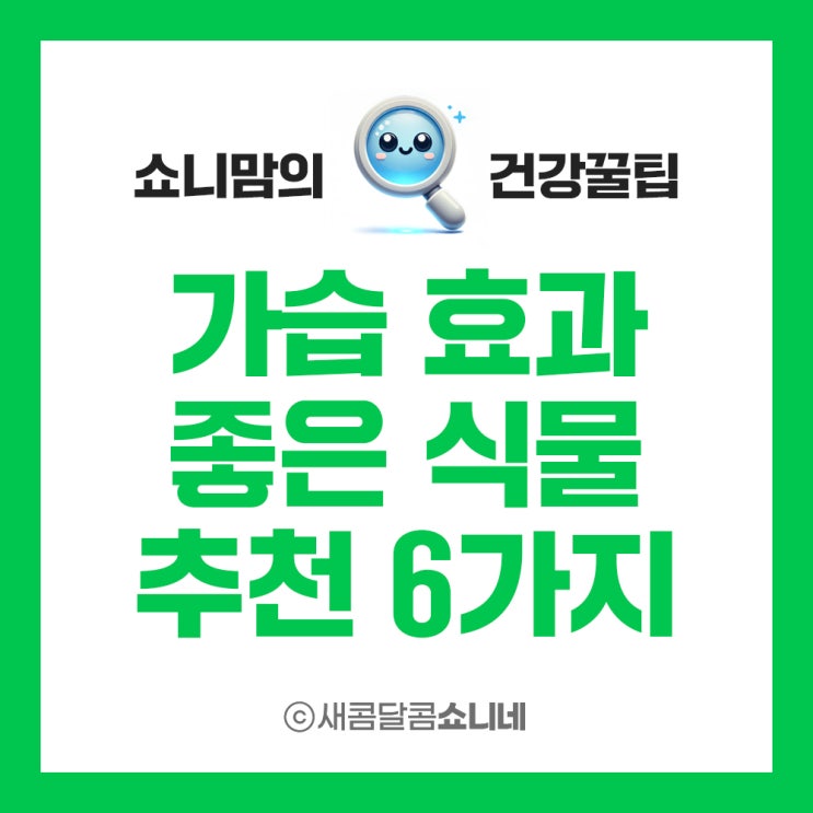  가습 효과 좋은 식물  추천과 화분 관리 방법 