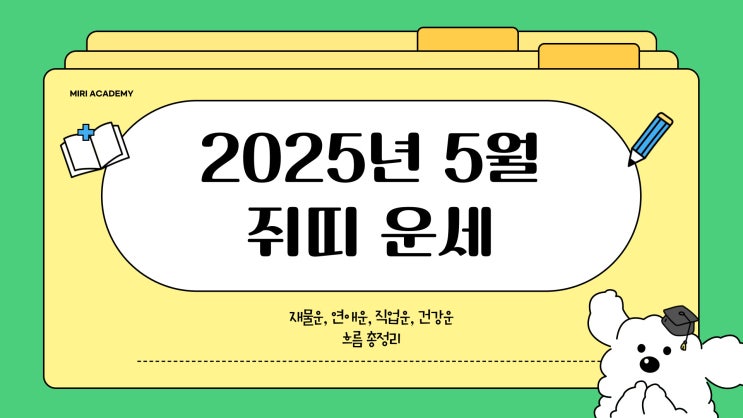 2025년 5월 쥐띠 운세｜직장·이직·연애·재물까지 흐름별 조언 모음