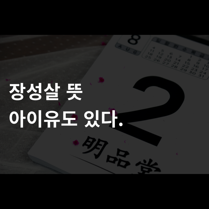  장성살 뜻, 아이유도 있다.