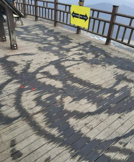  "방화 시도 아냐"…산 정상에 폐오일 뿌린 60대 자수