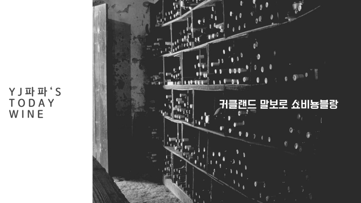  <코스트코와인>하정우와인으로 유명한 말보로쇼비뇽블랑 솔직후기