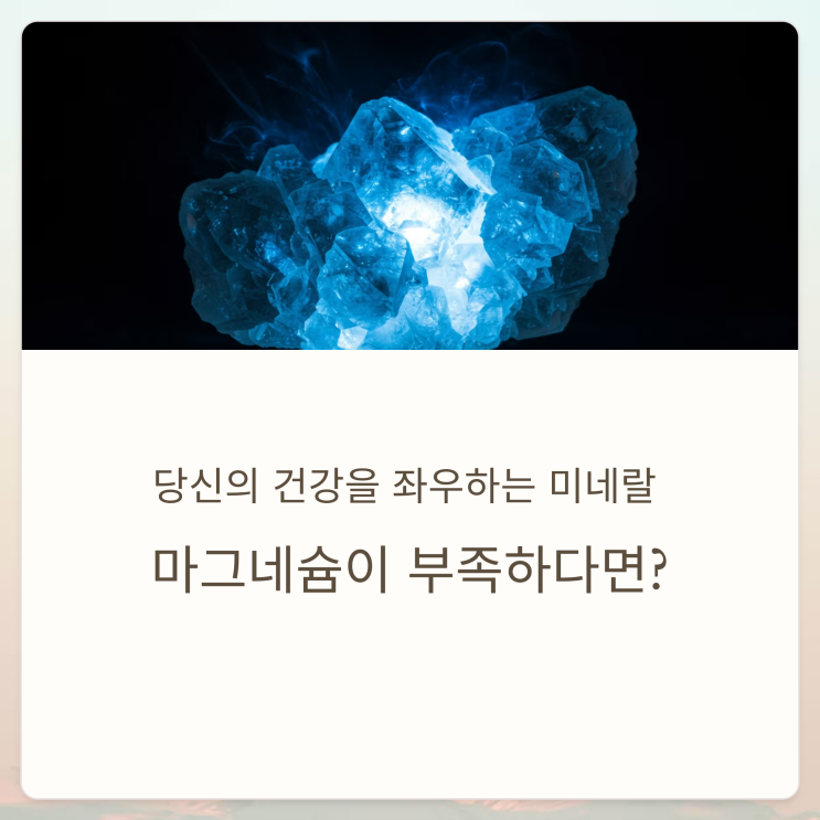  건강한 삶의 숨은 조력자 마그네슘 건강을 지키는 필수 미네랄의 비밀