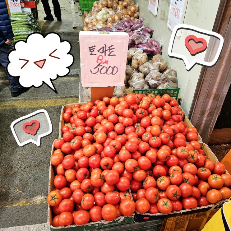  오랜만에 시장 장보기 토마토 8개당 5천원 소원성취했어요