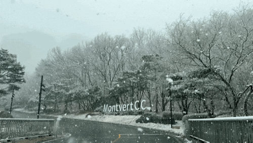  몽베르CC 눈 오는날 골프 후기 - 우천취소 각 이었는데 결국 해 떴다!