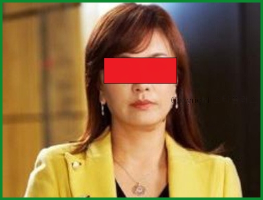 딸의 양육권 때문에 전남편 빚 17억 떠안고 결국 파산 신청한 여배우 근황.jpg 딸의 양육권 때문에 전남편 빚 17억 떠안고 결국 파산 신청한 여배우 근황.jpg