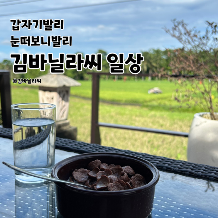  발리에서 전하는 김바닐라씨 일상