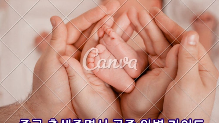  [중국 출생증명서 공증 완벽 가이드] 한국 출생 신고·병원 기록까지 한 번에 해결