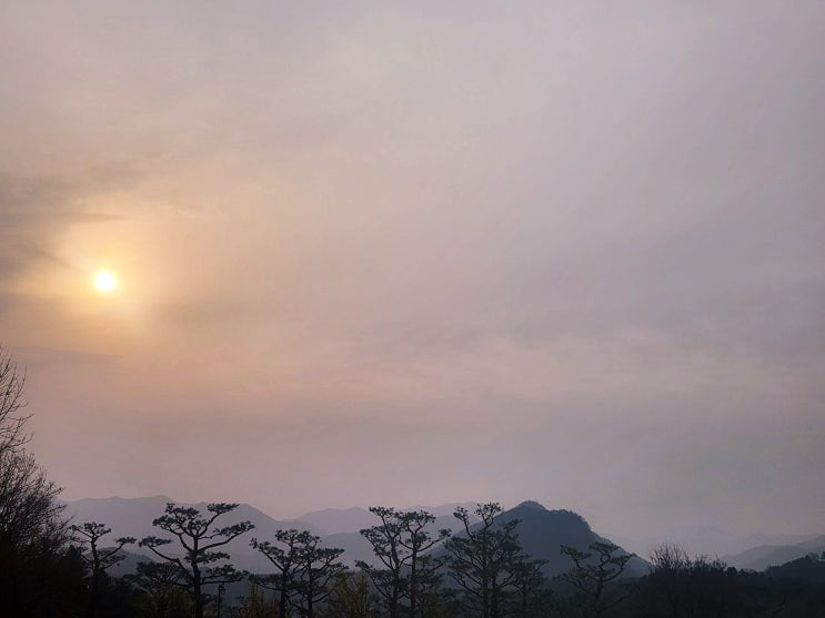  청심국제중학교 학부모들이 궁금해하는 학교 생활