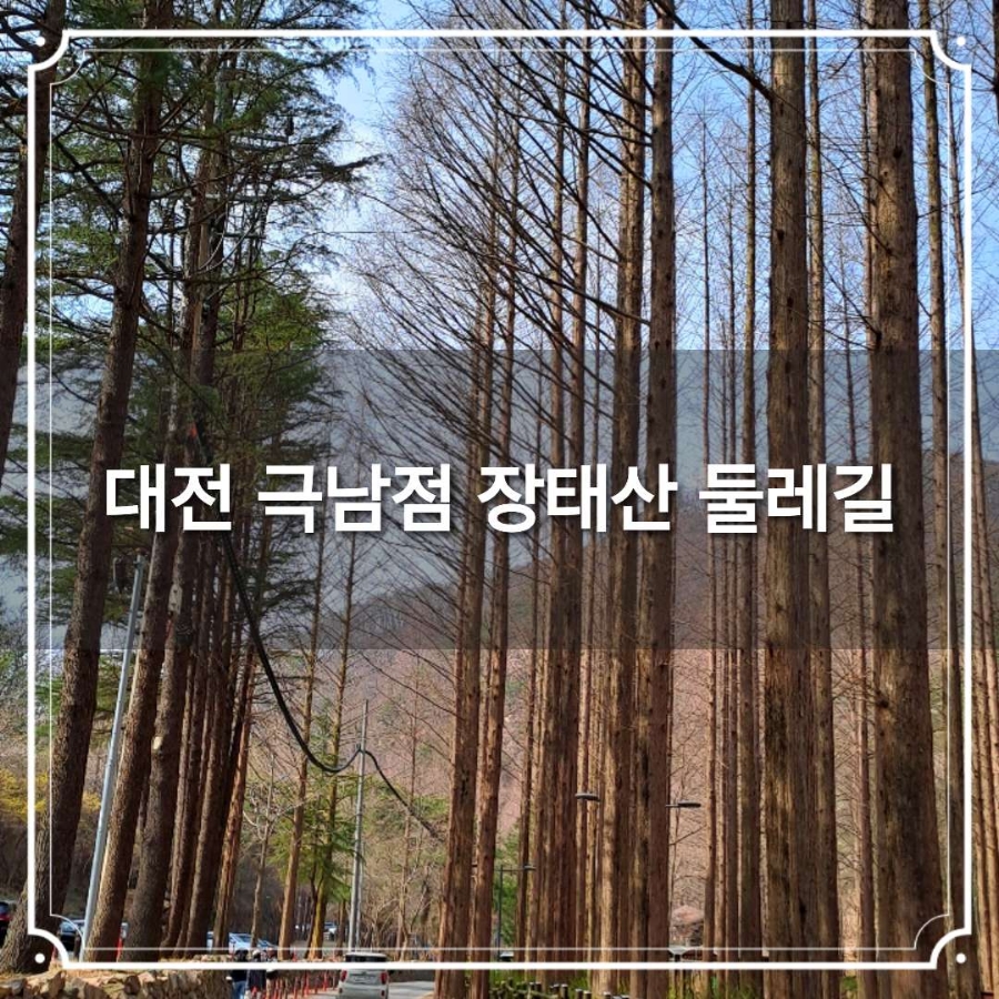해태산 사진 1