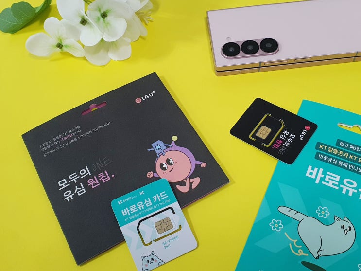  알뜰폰 신규 개통 방법(초보자용)
