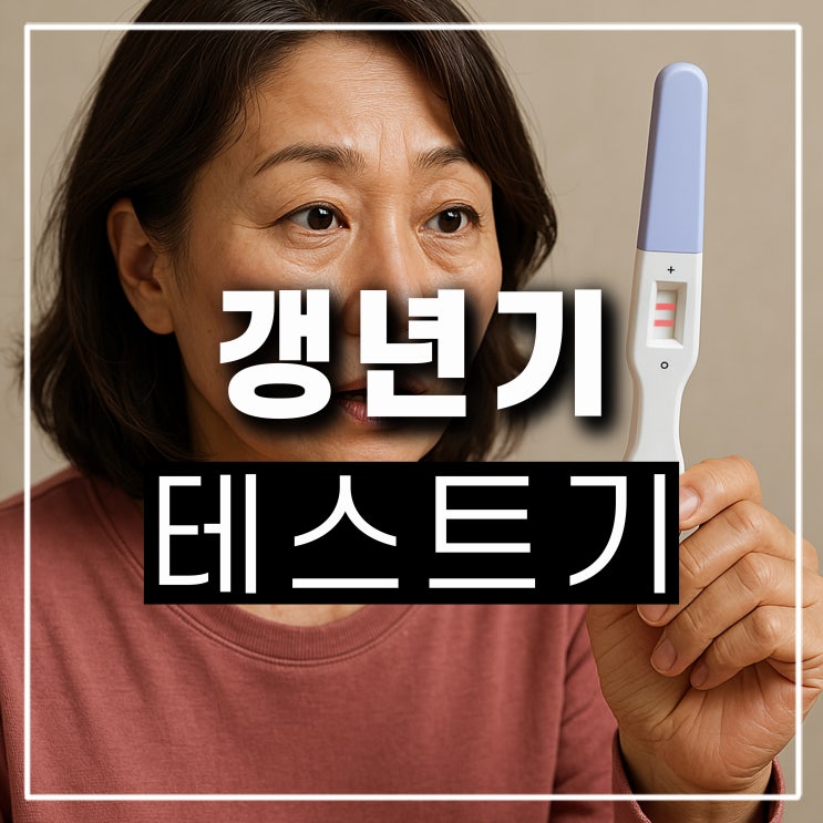  이체크 갱년기 테스트기 가격 약국 자가 진단 테스터기 두줄