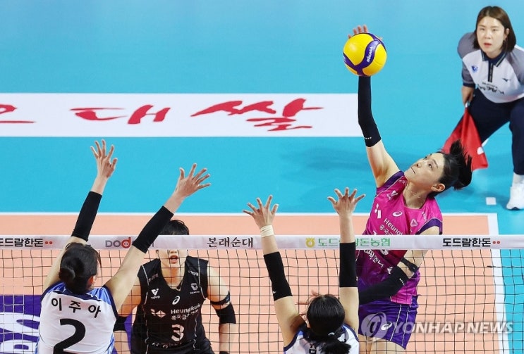 <b>김연경</b>, 라스트 댄스의 화려한 서막을 열다: <b>챔피언 결정전</b>... 