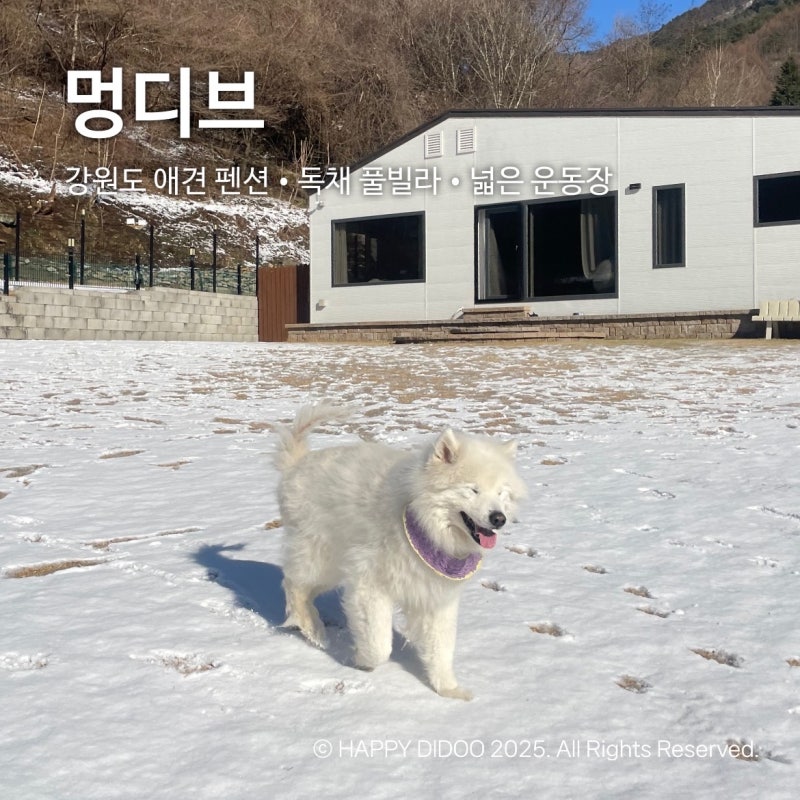 사진 5