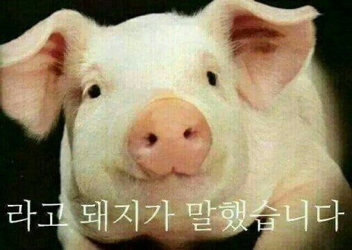 즐거운밥상 사진 1